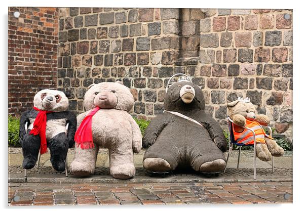 Berlin Bears Acrylic by david harding