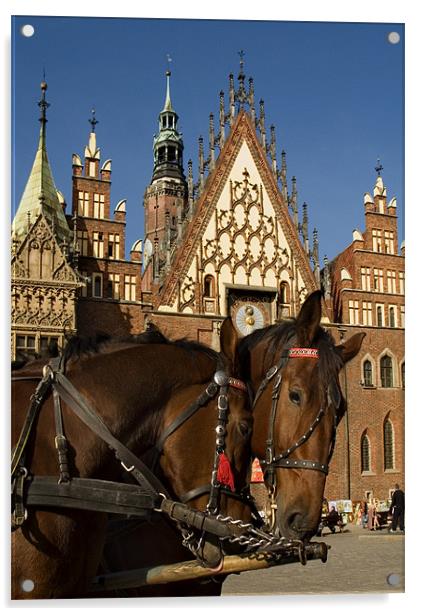 Poland Wroclaw Town Hall Acrylic by david harding