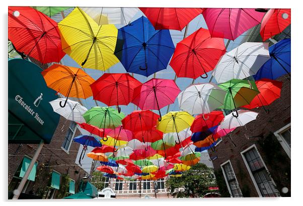  Colourful Umbrellas Acrylic by david harding