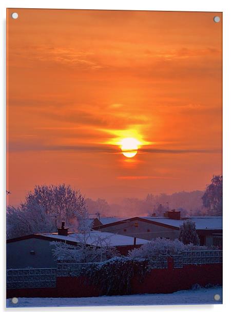Winter Sunrise Acrylic by Laura McGlinn Photog