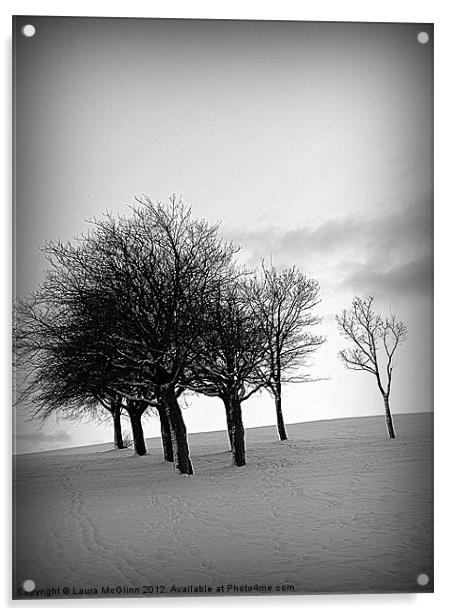 Snowy Trees Acrylic by Laura McGlinn Photog