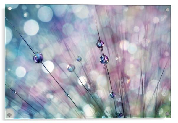Raindrop Sparkles Acrylic by Sharon Johnstone