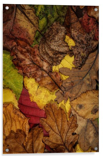 My Autumn Garden II Acrylic by Sharon Johnstone