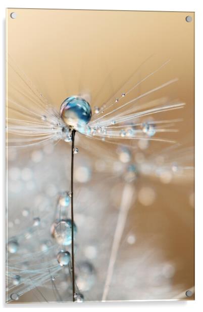Fairy Blue Drop Acrylic by Sharon Johnstone