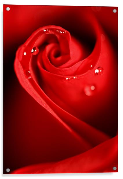 Red Swirl Acrylic by Sharon Johnstone