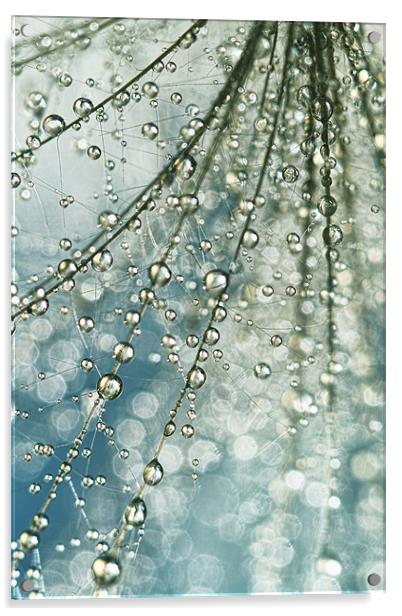 Fairy rain Acrylic by Sharon Johnstone
