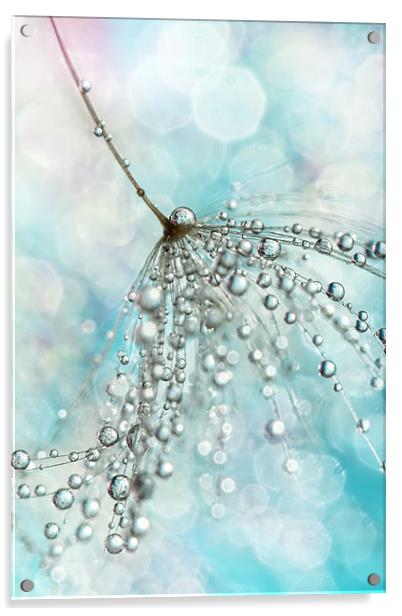 Shower Sparkles Acrylic by Sharon Johnstone