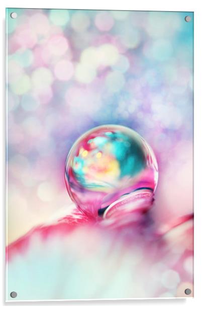 A Drop of Fun Acrylic by Sharon Johnstone