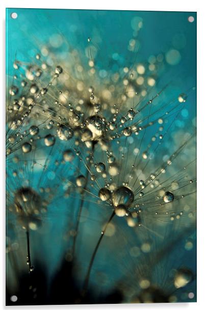 Bold Blue Dandy Sparkles Acrylic by Sharon Johnstone
