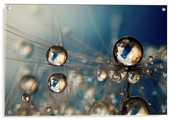  Royal Sea Blue Drops Acrylic by Sharon Johnstone