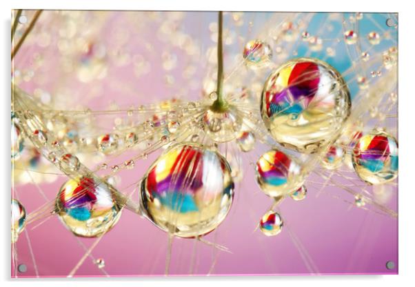Rainbow Balls Acrylic by Sharon Johnstone