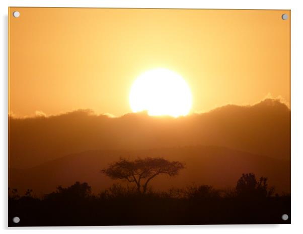 Masai Mara Sunrise kenya Acrylic by grant norton