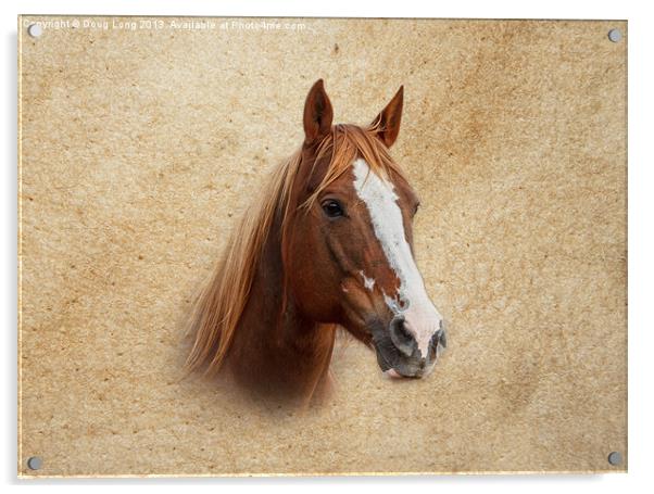 Portrait of a Mare Acrylic by Doug Long