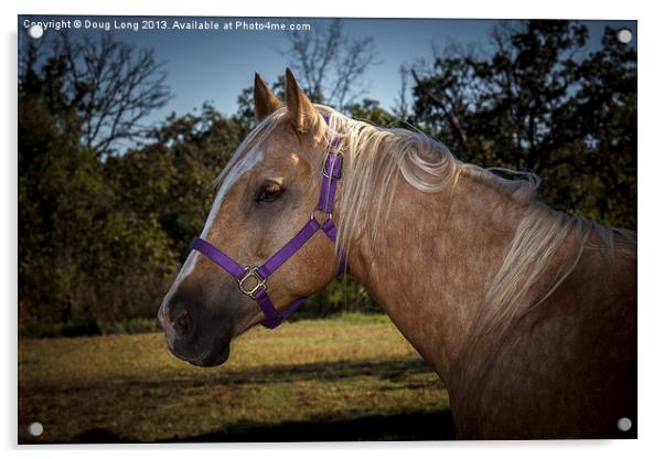 Palomino Quarter Horse Acrylic by Doug Long