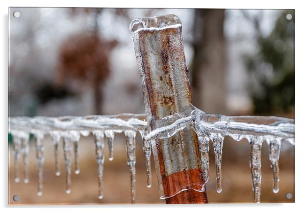 Winter in Oklahoma Acrylic by Doug Long