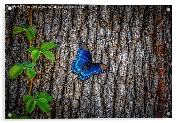 Blue Butterfly Acrylic by Doug Long