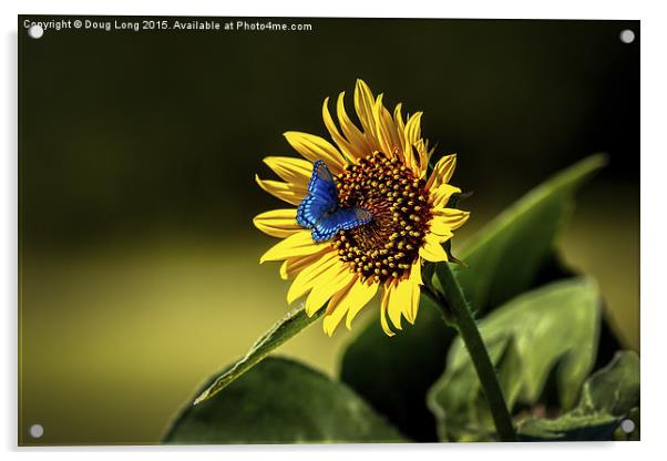 Butterflys-N-Flowers Acrylic by Doug Long