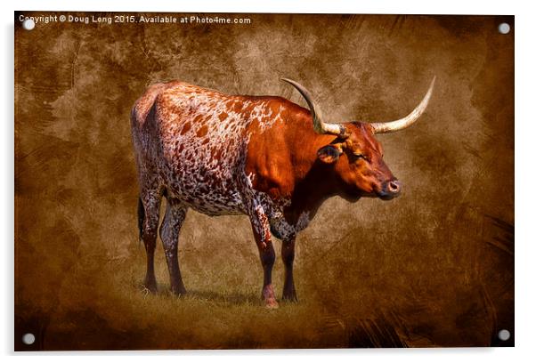 Lone Longhorn Acrylic by Doug Long