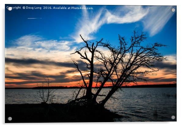  Silhouette Acrylic by Doug Long