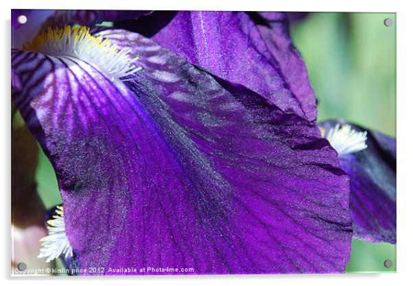 deep purple Acrylic by kirstin price