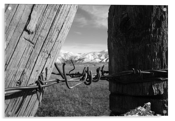 Wyoming Fence Acrylic by Ben Murray