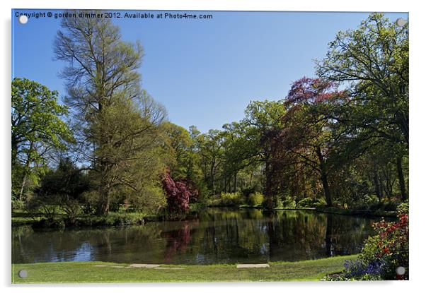 Reflections of tranquility Exbury Gardens Acrylic by Gordon Dimmer