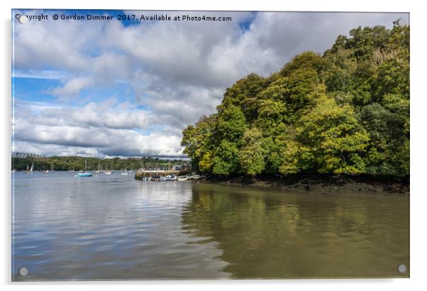 Autumn Colours on the River Dart Acrylic by Gordon Dimmer