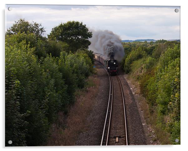 34067 Tangmere approaching West Stafford Acrylic by Paul Brewer