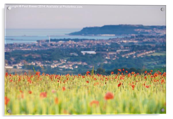 Field of Poppies overlooking Weymouth and Portland Acrylic by Paul Brewer