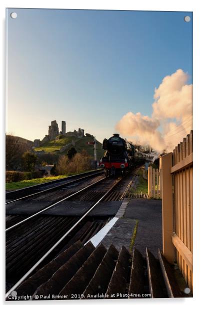Flying Scotsman passes Corfe Castle Acrylic by Paul Brewer