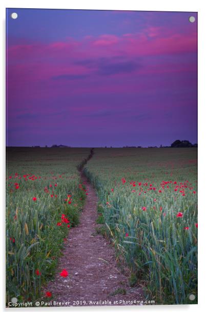 Purple sky and field of Poppies near Dorchester Acrylic by Paul Brewer
