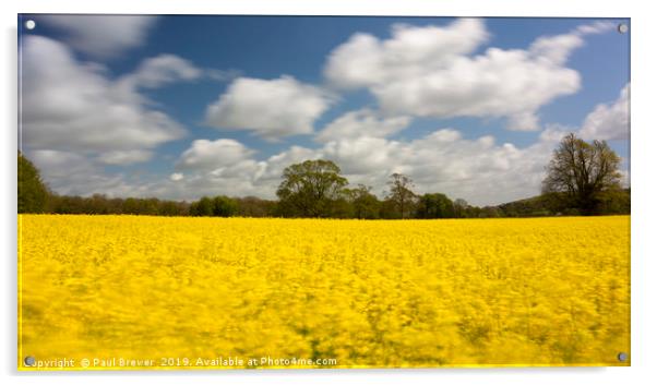 Oil Seed Rape field near to Dorchester Acrylic by Paul Brewer