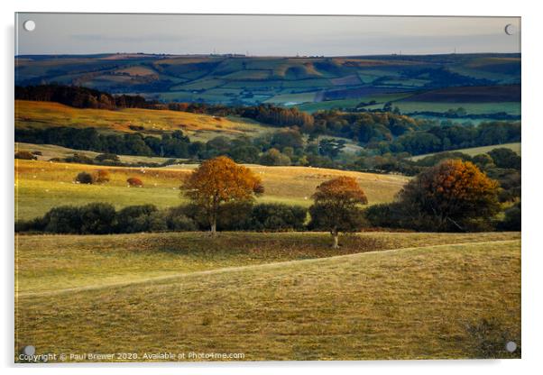 West Dorset Landscape Acrylic by Paul Brewer