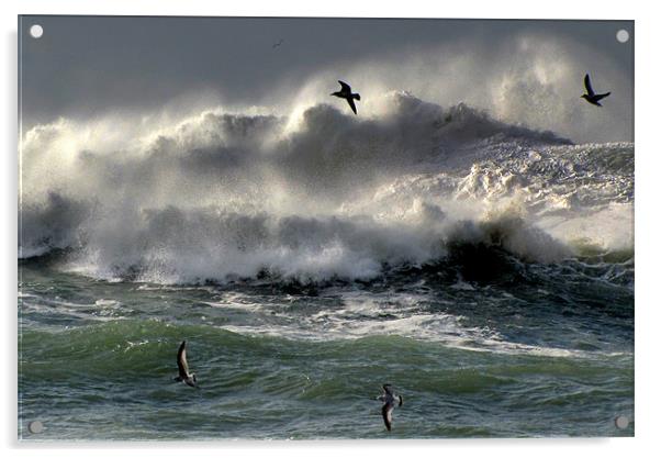 Waves on Clogher Beach Acrylic by barbara walsh