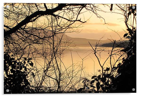 Morning in Dingle Acrylic by barbara walsh