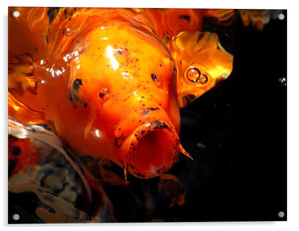 Goldfish Acrylic by barbara walsh