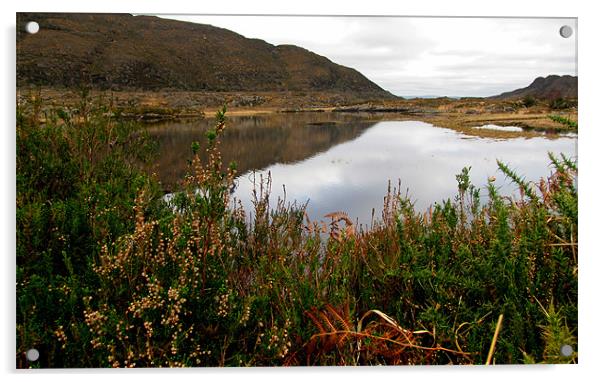Lake in the Killarney National Park Acrylic by barbara walsh