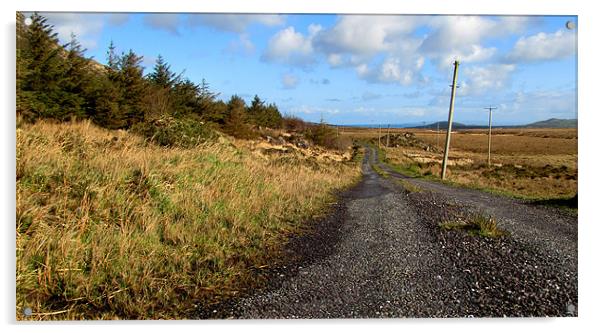 Road back to Cloghane Acrylic by barbara walsh