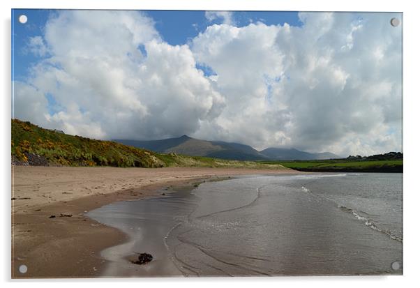 Dunsheen beach Acrylic by barbara walsh