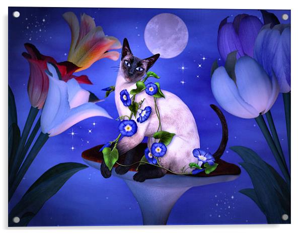 Siamese Moonlight Acrylic by Elaine Manley
