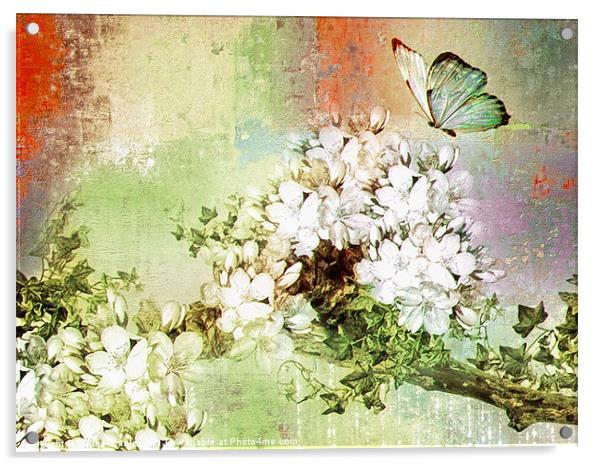 Butterfly Art  Acrylic by Elaine Manley