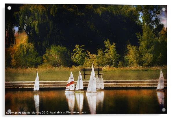 Sailboat Regatta Acrylic by Elaine Manley