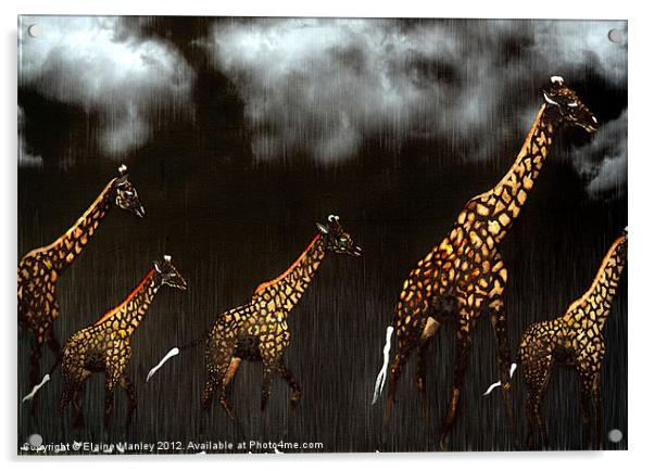 Giraffe Acrylic by Elaine Manley