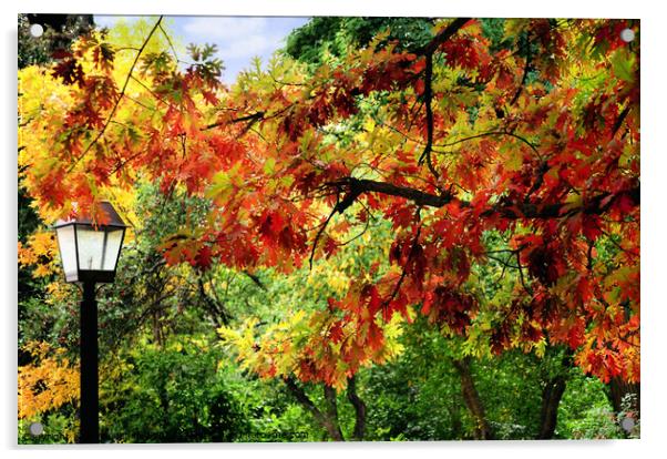 Autumn Oak Acrylic by Elaine Manley