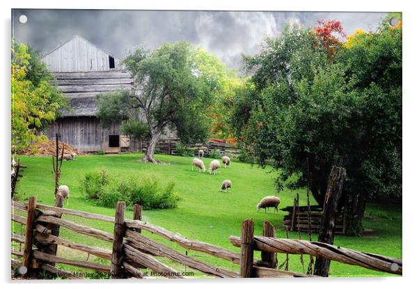 The Sheep Farm Acrylic by Elaine Manley