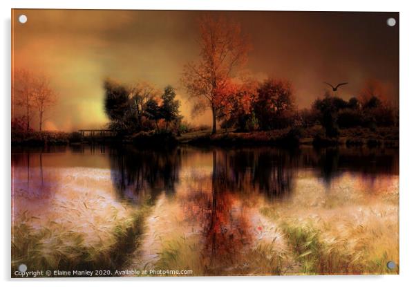 Autumn Splendor 2 Acrylic by Elaine Manley