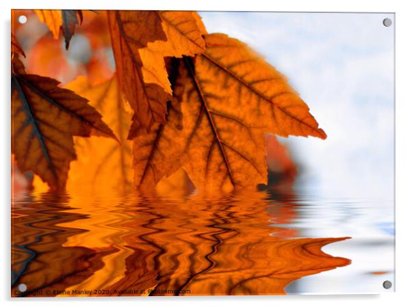   misc    Autumn Leaf Reflecions Acrylic by Elaine Manley