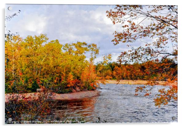 Autumn River Acrylic by Elaine Manley