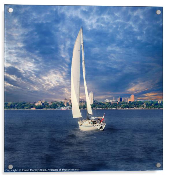 Sailing  Acrylic by Elaine Manley