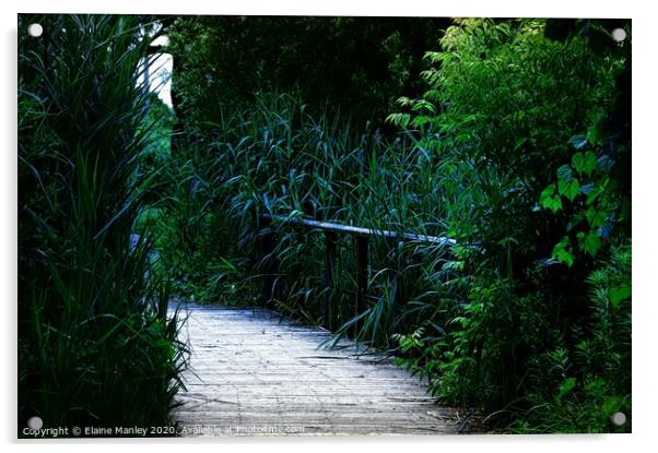 Bluegrass Walkway Acrylic by Elaine Manley